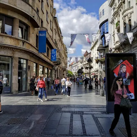 Basco Knez Mihailova *